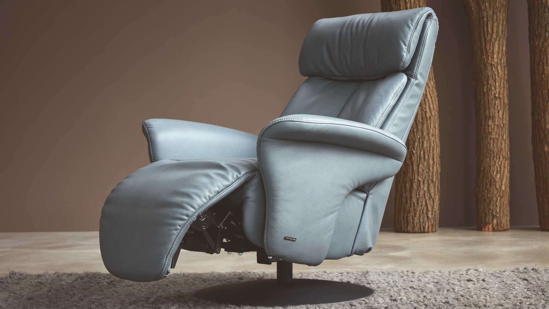 Ledersessel Z21971-1 - mit Funktion