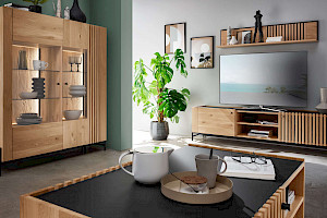 Wohnprogramm modern Z21908