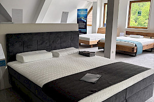 Boxspringbett Modell: Basic