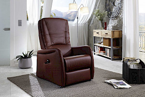 Fernseh- und Relaxsessel Z22211 - Leder, klassisch