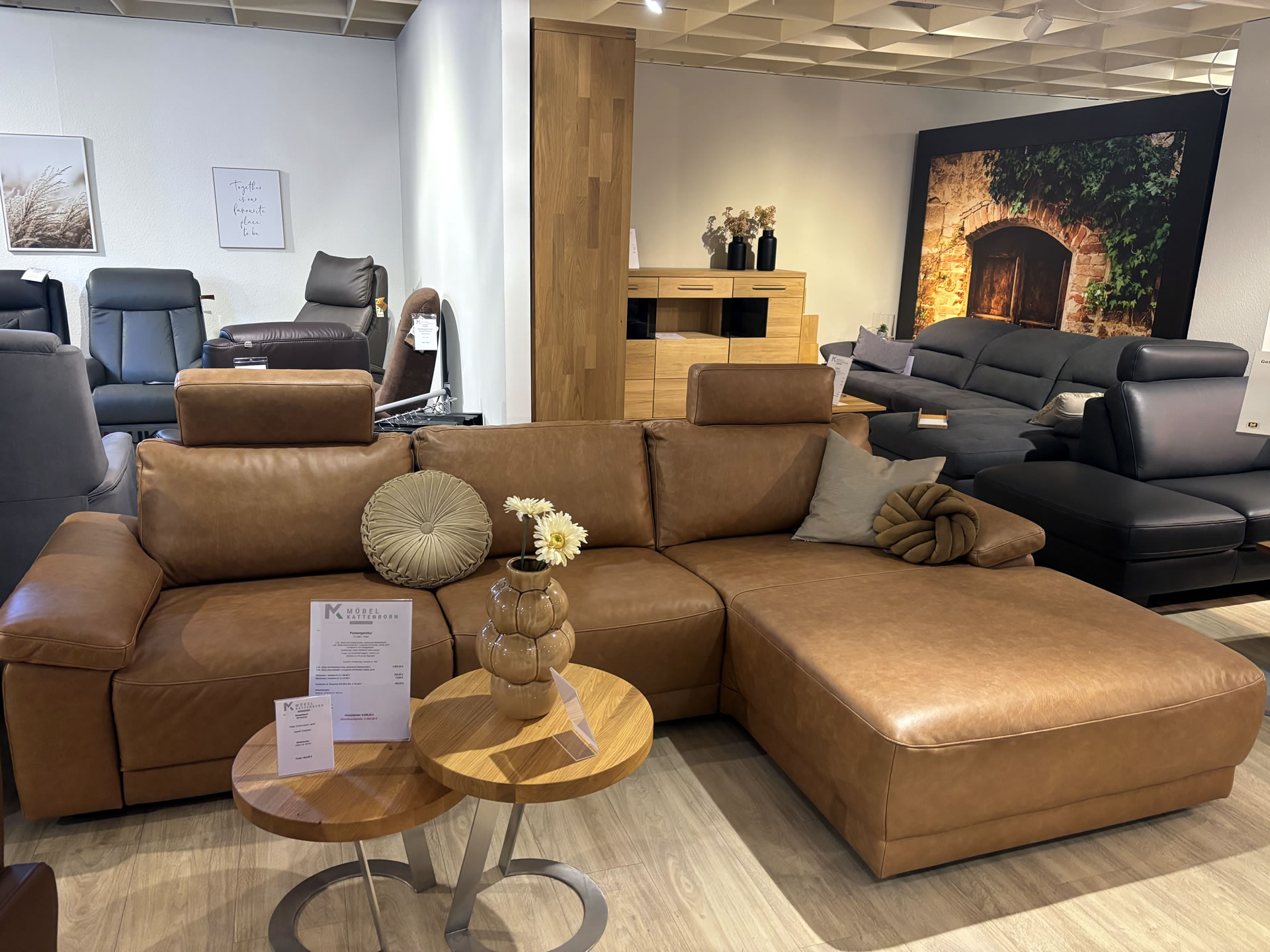 Ledergarnitur TL 2981 Pieto